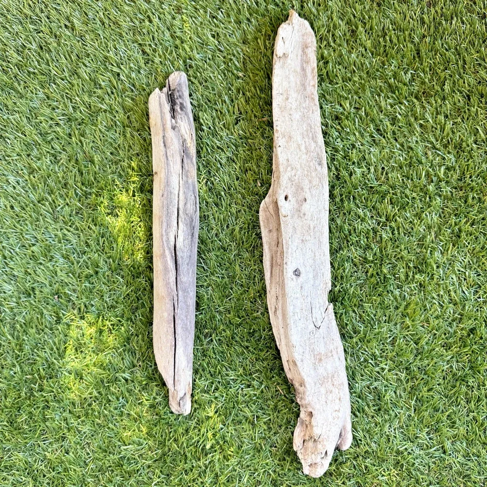 2 Natural Driftwood Pieces California Coast Rustic Beach Decor Aquarium Art